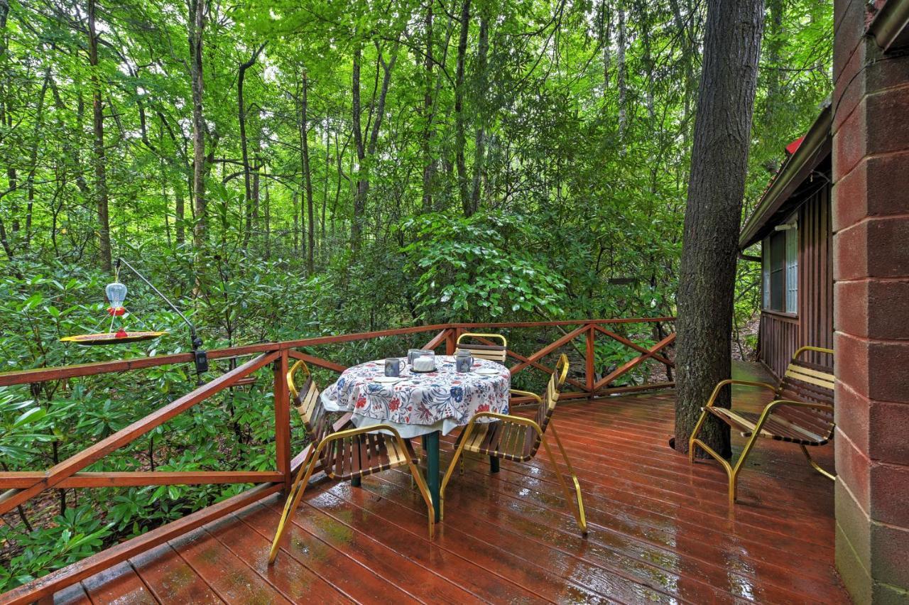 Serene Creekside Cottage Near Asheville Fire Pit Candler Экстерьер фото