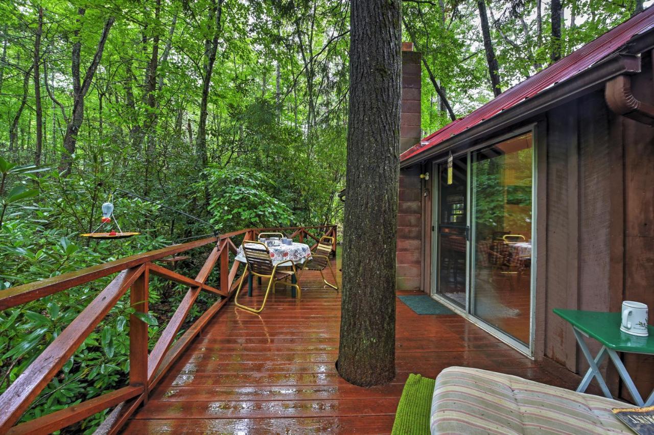 Serene Creekside Cottage Near Asheville Fire Pit Candler Экстерьер фото